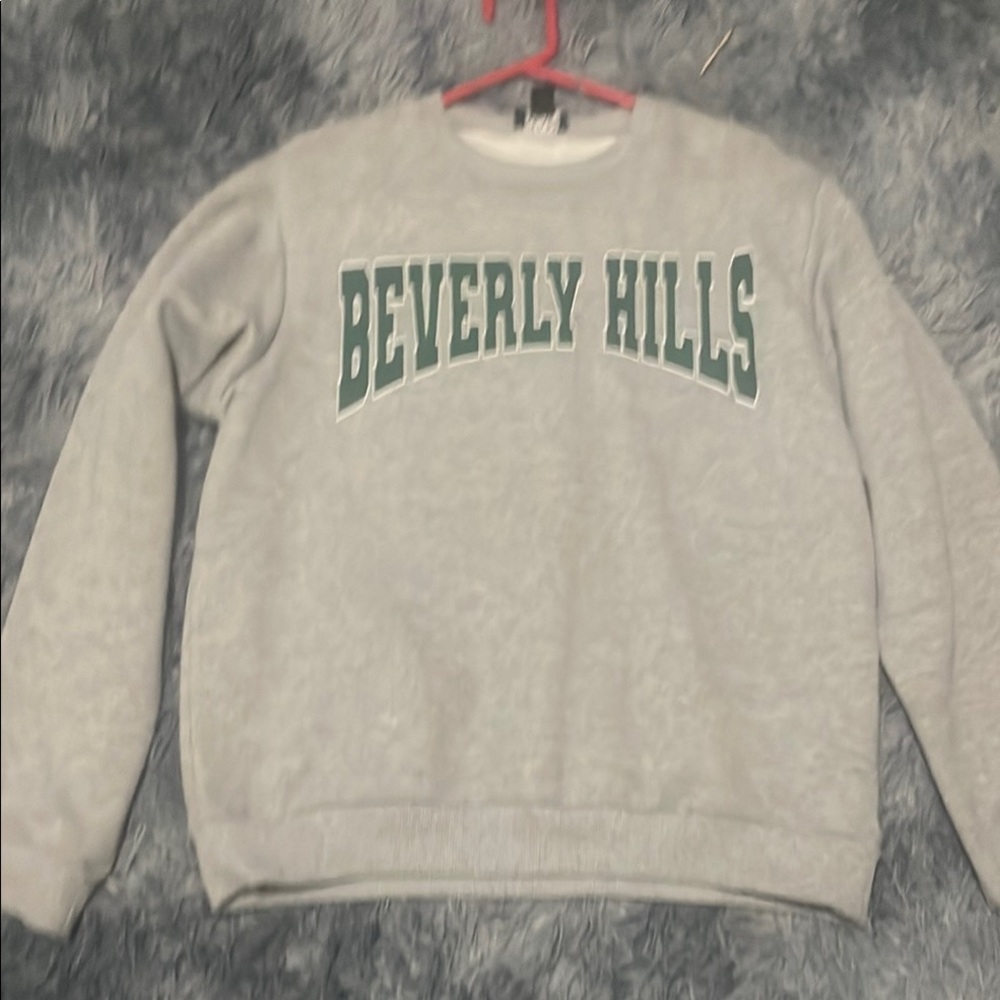 Beverly Hills Gray Sweater for Men